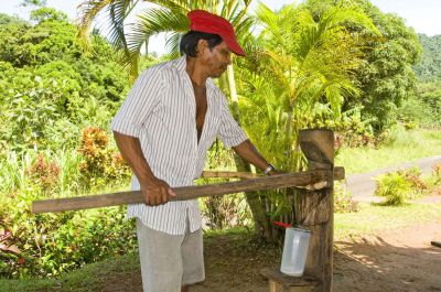 making cane juice